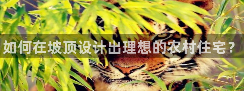 意昂3集团官网首页网址：如何在坡顶设计出理想的农村住宅？