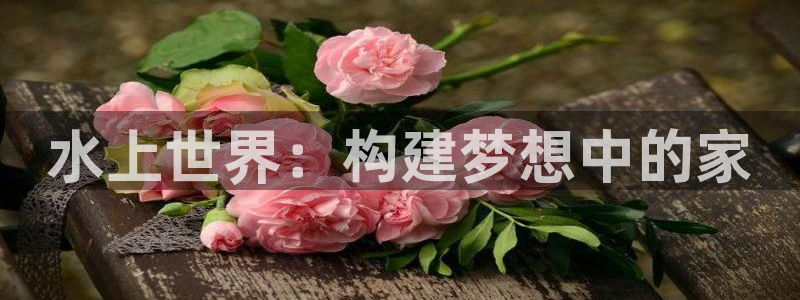 意昂体育3是干嘛的公司：水上世界：构建梦想中的家
