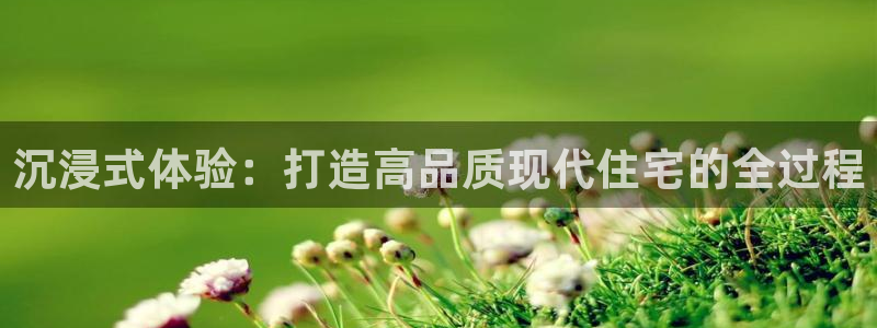 意昂3开户：沉浸式体验：打造高品质现代住宅的全过程