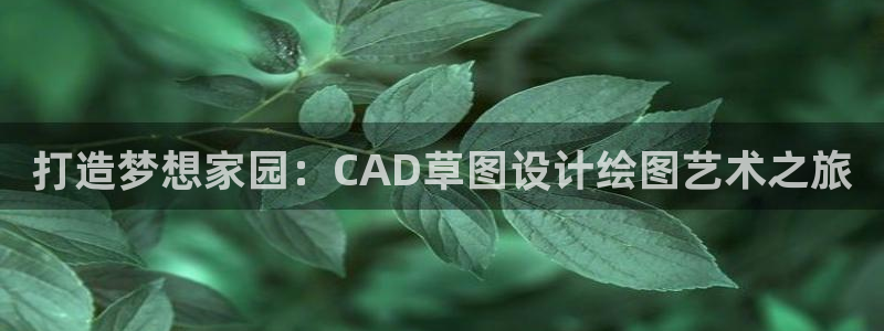意昂体育3联系电话：打造梦想家园：CAD草图设计绘图艺术之旅