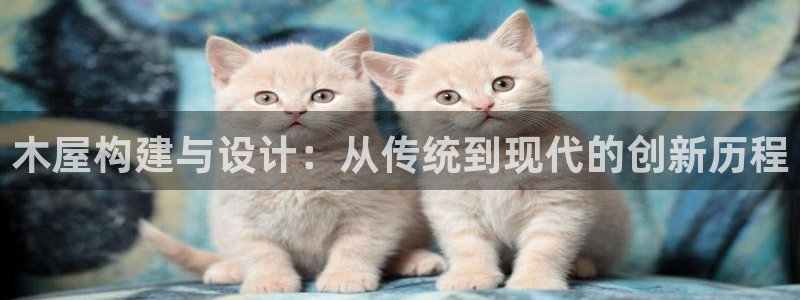 意昂3官网：木屋构建与设计：从传统到现代的创新历程