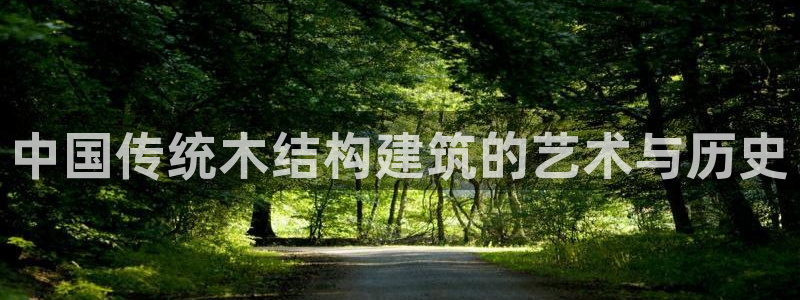 意昂3娱乐代理怎么样：中国传统木结构建筑的艺术与历史