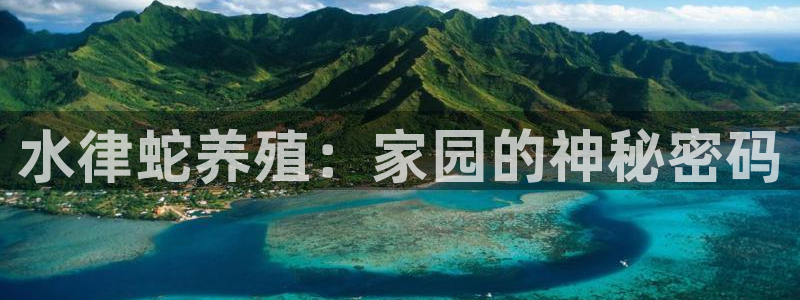 意昂体育3招商电话地址