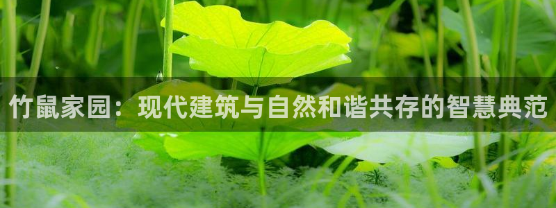 意昂体育3开户：竹鼠家园：现代建筑与自然和谐共存的智慧典范