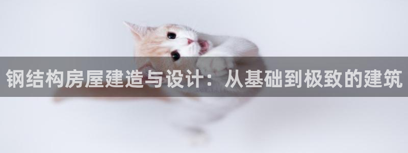 意昂3集团官网网址：钢结构房屋建造与设计：从基础到极致的建筑