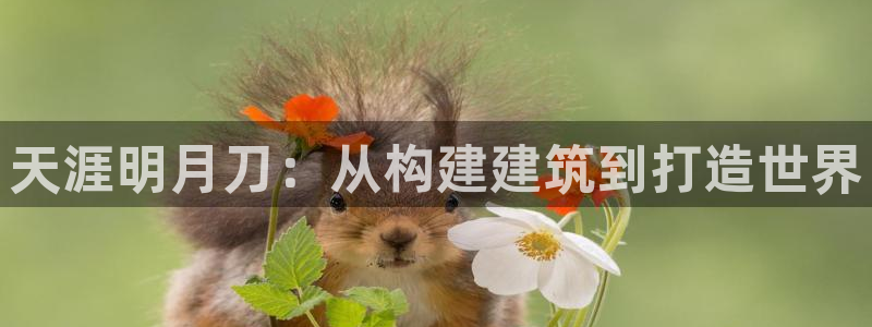 意昂体育3平台注册流程图：天涯明月刀：从构建建筑到打造世界