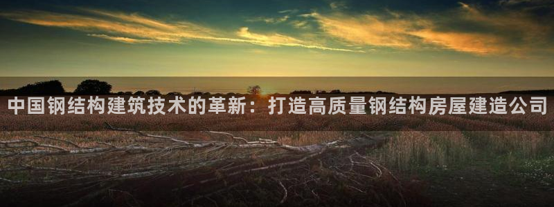德国意昂3集团：中国钢结构建筑技术的革新：打造高质量钢结构房屋建造公司