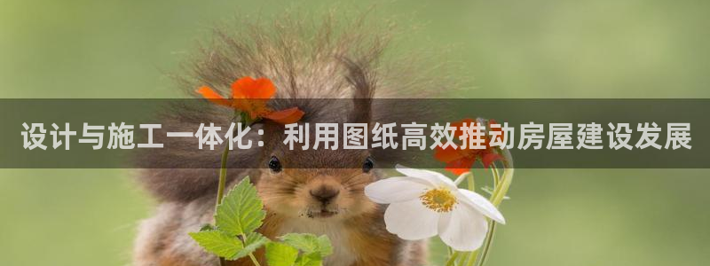 意昂体育3招商电话号码：设计与施工一体化：利用图纸高效推动房屋建设发展