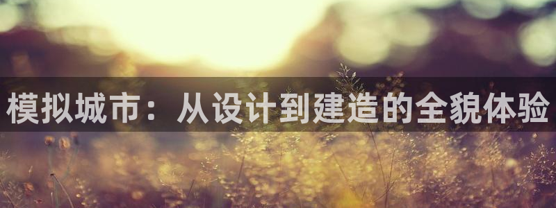 意昂体育3招商电话号码：模拟城市：从设计到建造的全貌体验