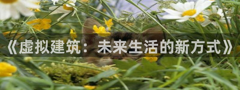 意昂体育3官方客服电话：《虚拟建筑：未来生活的新方式》