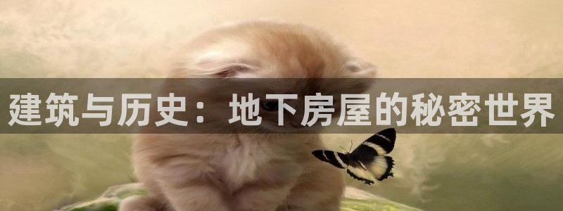 意昂体育3开户：建筑与历史：地下房屋的秘密世界
