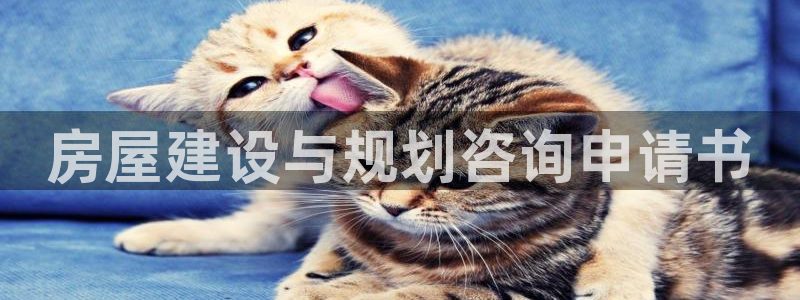 意昂3开户：房屋建设与规划咨询申请书