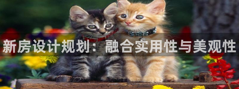 意昂3集团官网首页：新房设计规划：融合实用性与美观性