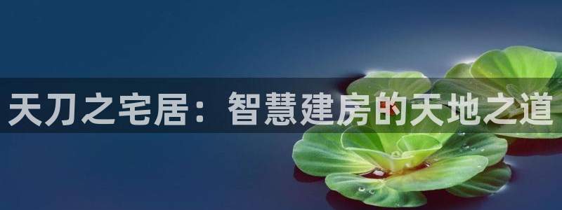 德国意昂3集团：天刀之宅居：智慧建房的天地之道