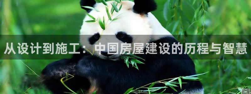 意昂3科技：从设计到施工：中国房屋建设的历程与智慧