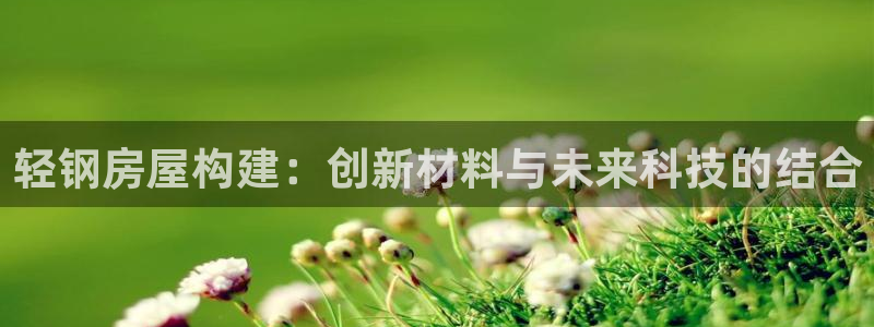 意昂体育3娱乐：轻钢房屋构建：创新材料与未来科技的结合