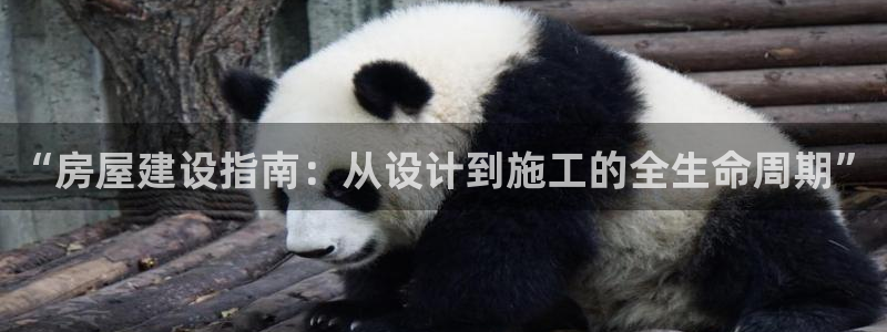 意昂3娱乐平台：“房屋建设指南：从设计到施工的全生命周期”