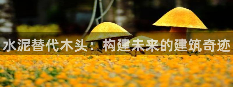 意昂3五金厂：水泥替代木头：构建未来的建筑奇迹