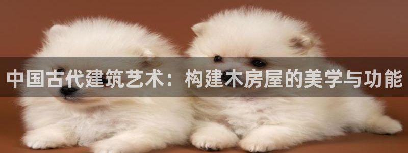 意昂3娱乐首页网站大全：中国古代建筑艺术：构建木房屋的美学与功能