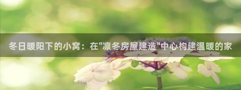 意昂3集团官网网址：冬日暖阳下的小窝：在\