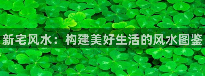 意昂体育3平台：新宅风水：构建美好生活的风水图鉴