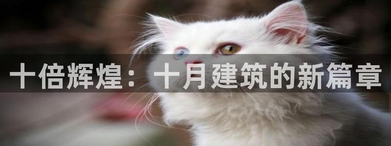 意昂体育3招商电话号码查询是多少：十倍辉煌：十月建筑的新篇章