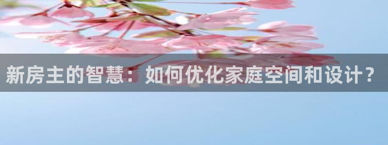 意昂3集团logo：新房主的智慧：如何优化家庭空间和设计？