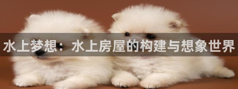意昂3官方：水上梦想：水上房屋的构建与想象世界