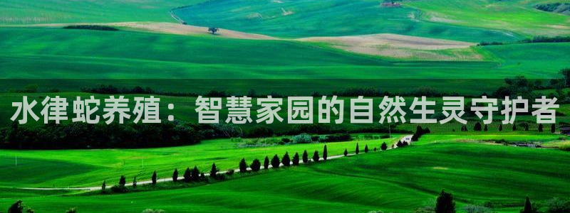 意昂3官方：水律蛇养殖：智慧家园的自然生灵守护者