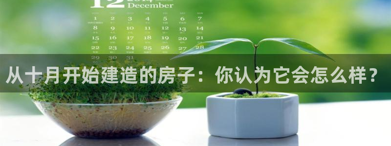 意昂3五金厂：从十月开始建造的房子：你认为它会怎么样？