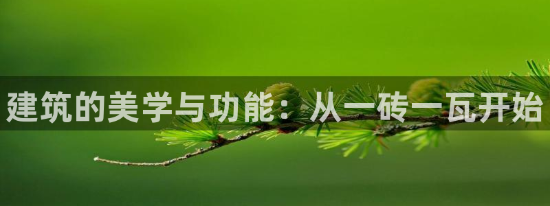 意昂体育3联系电话：建筑的美学与功能：从一砖一瓦开始