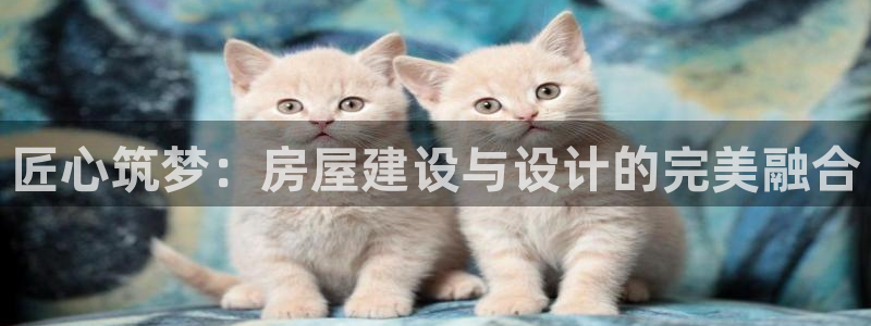 意昂3娱乐首页网站大全：匠心筑梦：房屋建设与设计的完美融合