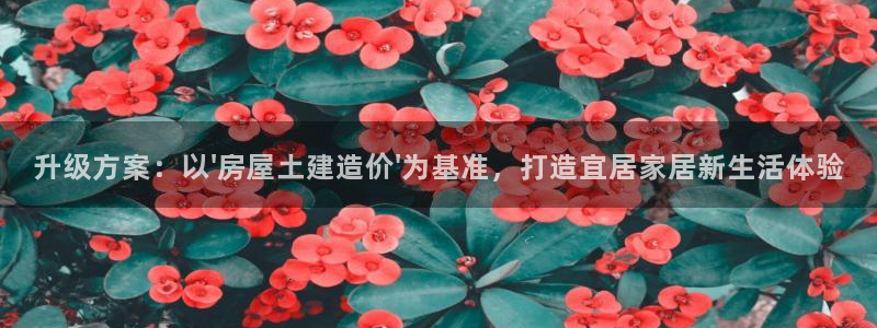意昂3官方：升级方案：以\'房屋土建造价\'为基准，打造宜居家居新生活体验