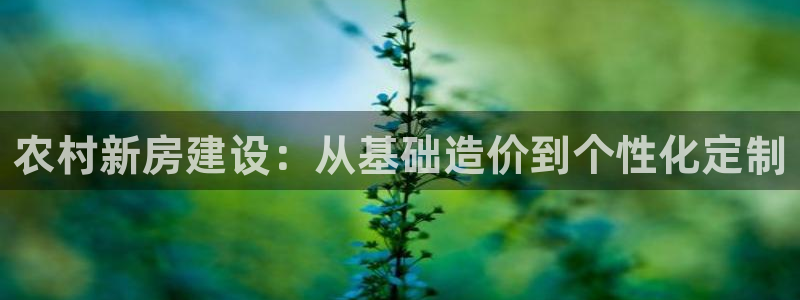 意昂体育3平台假的吗是真的吗：农村新房建设：从基础造价到个性化定制
