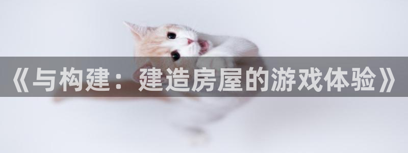 意昂体育3注册：《与构建：建造房屋的游戏体验》
