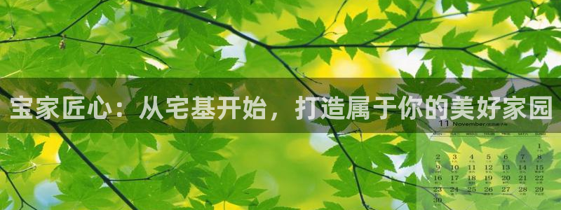 意昂体育3平台注册要钱吗安全吗：宝家匠心：从宅基开始，打造属于你的美好家园