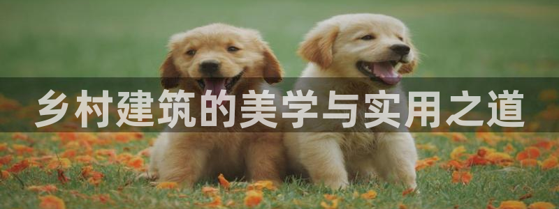 意昂平台体育：乡村建筑的美学与实用之道