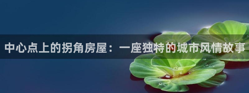 意昂体育3平台注册流程视频：中心点上的拐角房屋：一座独特的城市风情故事