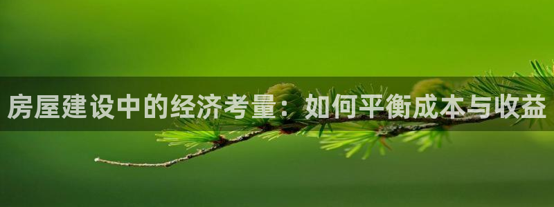 意昂3娱乐首页官网下载：房屋建设中的经济考量：如何平衡成本与收益