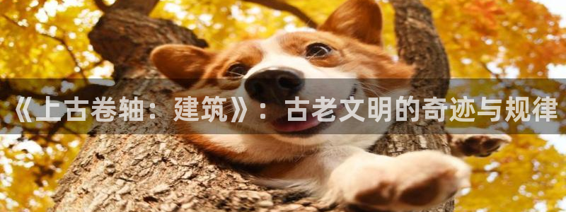 意昂体育3是干嘛的公司：《上古卷轴：建筑》：古老文明的奇迹与规律