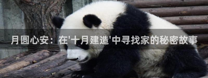 海南意昂体育3：月圆心安：在\'十月建造\'中寻找家的秘密故事