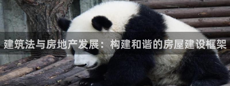 意昂3集团logo：建筑法与房地产发展：构建和谐的房屋建设框架