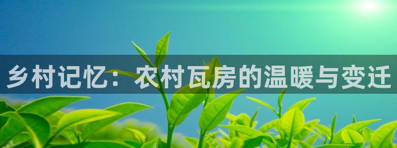 海南意昂体育3发展怎么样