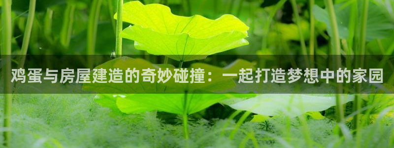 意昂3娱乐代理怎么样：鸡蛋与房屋建造的奇妙碰撞：一起打造梦想中的家园