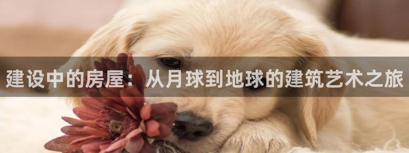 德国意昂3集团