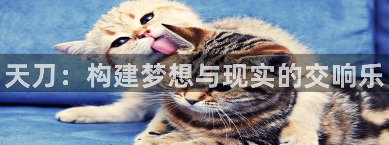 意昂体育3平台注册流程视频：天刀：构建梦想与现实的交响乐