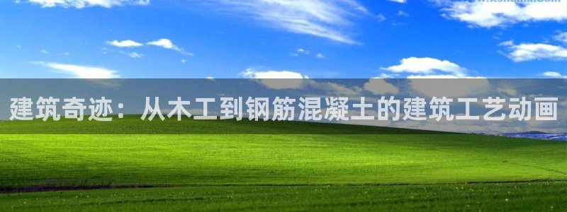 意昂体育3平台注册流程视频：建筑奇迹：从木工到钢筋混凝土的建筑工艺动画