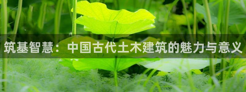 意昂3娱乐代理怎么样：筑基智慧：中国古代土木建筑的魅力与意义