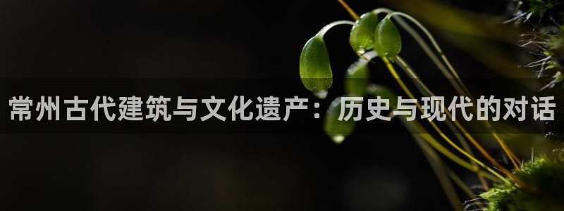 意昂体育3软件：常州古代建筑与文化遗产：历史与现代的对话
