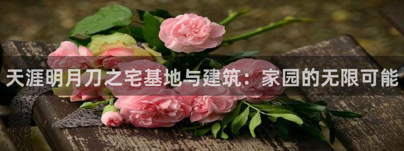 意昂体育3招商电话号码是多少：天涯明月刀之宅基地与建筑：家园的无限可能